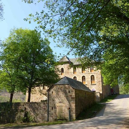 Chateau De Salelles Banassac Exterior photo